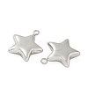 304 Stainless Steel Pendants STAS-S186-01B-P-2
