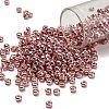 TOHO 6/0 Round Beads SEED-XTR06-PF0552-1