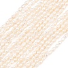 Natural Cultured Freshwater Pearl Beads Strands PEAR-D003-01D-02-2
