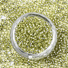 Glass Seed Beads X-SEED-S042-04A-02-2