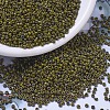 MIYUKI Round Rocailles Beads X-SEED-G010-RR4519-1