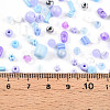 Glass Seed Beads SEED-N007-13C-4