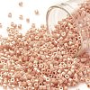 Cylinder Seed Beads X-SEED-H001-H02-1