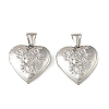 316 Stainless Steel Locket Pendants LS-STAS-K321-13P-1