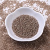 MIYUKI Delica Beads Small X-SEED-J020-DBS0102-2