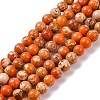 Dyed Natural Regalite/Imperial Jasper/Sea Sediment Jasper Beads Strands G-B124-C02-08-1