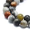 Natural Eagle Eye Stone Beads Strands G-K245-A09-05-3