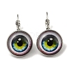 Eye Glass Leverback Earrings with Brass Earring Pins EJEW-Q798-01I-1