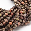 Natural Rainforest Agate Round Bead Strands G-P075-45-8mm-1