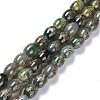 Tibetan Style dZi Beads Strands TDZI-E005-01R-1