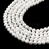 Natural Howlite Beads Strands X-G-E608-A01-B-4