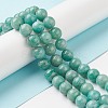 Natural Amazonite Beads Strands G-F461-12-6mm-01-5