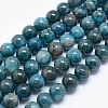 Natural Apatite Beads G-E481-05-10mm-1
