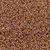 MIYUKI Round Rocailles Beads SEED-JP0010-RR0275-3