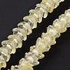 Transparent Glass Beads Strands LAMP-H061-01C-05-3