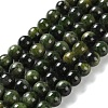 Natural Green Diopside Beads Strands G-NH0031-01B-1