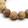 Frosted Natural Picture Jasper Round Bead Strands G-M064-12mm-05-2