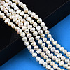 Natural Cultured Freshwater Pearl Beads Strands X-PEAR-N014-05B-6