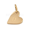 304 Stainless Steel Charms STAS-L291-01G-H-2