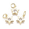 Brass Micro Pave Cubic Zirconia Charms ZIRC-F111-09G-08-1