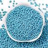 8/0 Baking Paint Glass Seed Beads X1-SEED-M012-02A-46-2