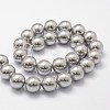 Shell Pearl Beads Strands BSHE-L026-05-10mm-2