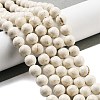 Natural Fossil Beads Strands G-H026-02C-2