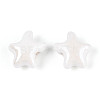 Handmade Porcelain Beads PORC-Q002-03B-01-2