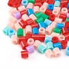 DIY Fuse Beads Kits DIY-RD0001-07-4