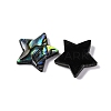 Natural Paua Shell Epoxy Resin Cabochons SSHEL-S279-01F-2