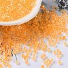 Glass Seed Beads X-SEED-S042-13A-05-1