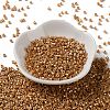 Baking Paint Glass Seed Beads X-SEED-S042-15A-13-2