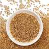 TOHO 8/0 Round Beads SEED-TR08-0701-2