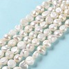 Natural Cultured Freshwater Pearl Beads Strands PEAR-E018-71-2