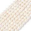 Natural Cultured Freshwater Pearl Beads Strands PEAR-C004-03-2
