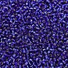 MIYUKI Delica Beads X-SEED-J020-DB0047-3