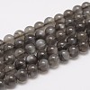 Natural Black Moonstone Beads Strands G-F306-06-8mm-1