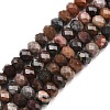Natural Petrified Wood Beads Strands G-C259-A28-5x8mm-2