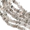 Natural Black Strawberry Quartz Chip Beads Strands G-B160-A03-4