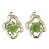 Epoxy Resin Pendants X-RESI-T045-028B-2