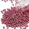 TOHO 6/0 Round Beads X-SEED-TR06-PF0553-1