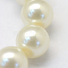 Baking Painted Pearlized Glass Pearl Round Bead Strands HY-Q003-10mm-02-3