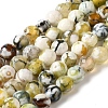 Dyed & Heated Natural Fire Crackle Agate Beads Strands G-P539-B01-23-1