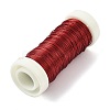 6 Rolls 6 Colors Baking Paint Iron Wire MW-K001-0.3mm-3