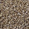 MIYUKI Delica Beads X-SEED-J020-DB1862-4