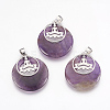 Natural Amethyst Pendants KK-F751-J03-1