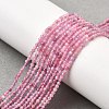 Natural Pink Tourmaline Beads Strands G-N342-33A-5