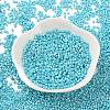 Baking Paint Glass Seed Beads X-SEED-S042-15B-34-2