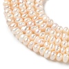Natural Cultured Freshwater Pearl Beads Strands PEAR-C004-02C-4