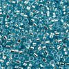 Glass Seed Beads SEED-S042-04A-13-3